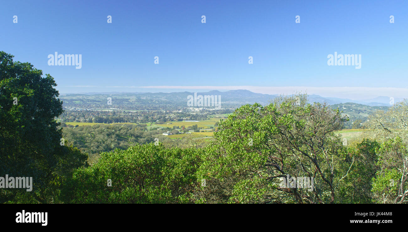 Bäume in der Landschaft Stockfoto