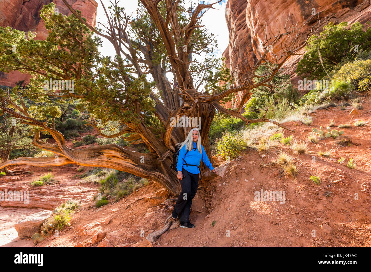 Kaukasische Frau posiert in der Nähe von Baum in Wüstenlandschaft Stockfoto