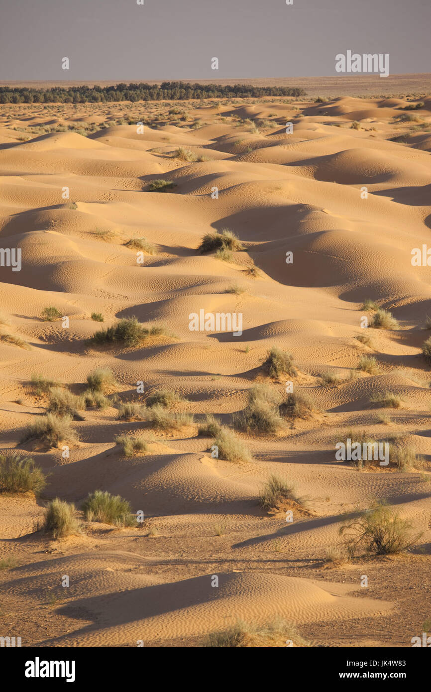 Tunesien, Ksour Bereich, Ksar Ghilane, Grand Erg Oriental Wüste, Landschaft Stockfoto