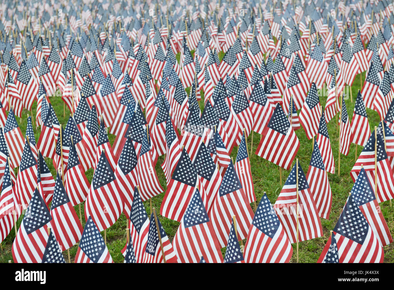 Amerikanische Flaggen auf einem Park Rasen gepflanzt Stockfoto