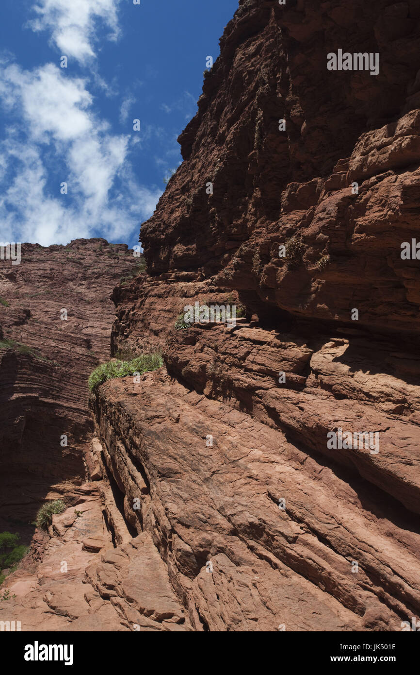 Argentinien, Provinz Salta, Quebrada de Cafayate Canyon, roten Felsen der Garganta del Diablo Stockfoto