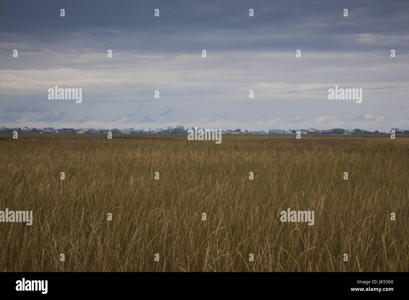 USA, Louisiana, Cocodrie, Bayou Landschaft Stockfoto