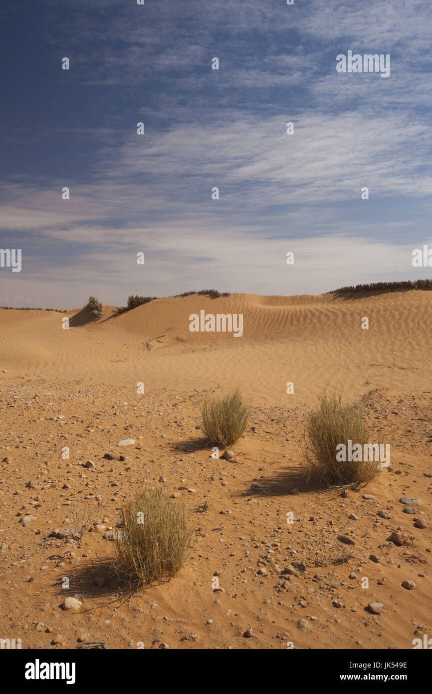 Tunesien, Ksour Bereich Ksar Ghilane, Sanddünen Stockfoto