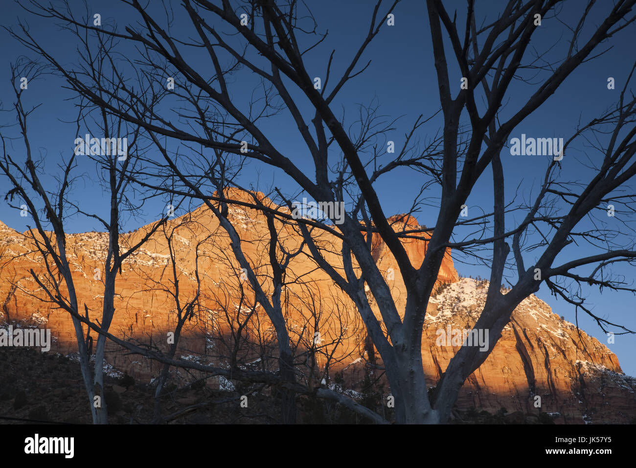 USA, Utah, Zion National Park, Mountain Sunrise von RT. 9 in Springdale Stockfoto