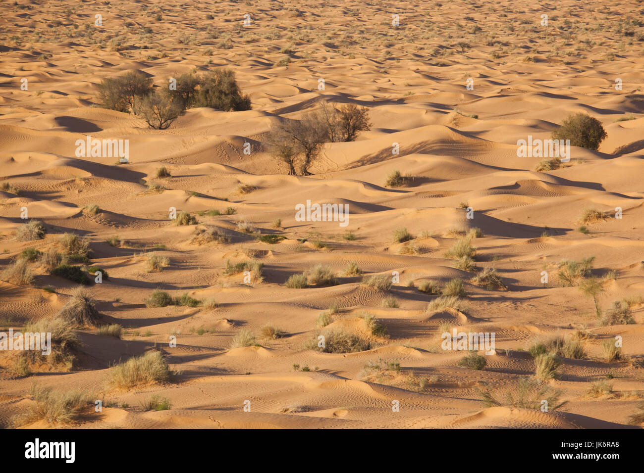 Tunesien, Ksour Bereich, Ksar Ghilane, Grand Erg Oriental Wüste, Landschaft Stockfoto