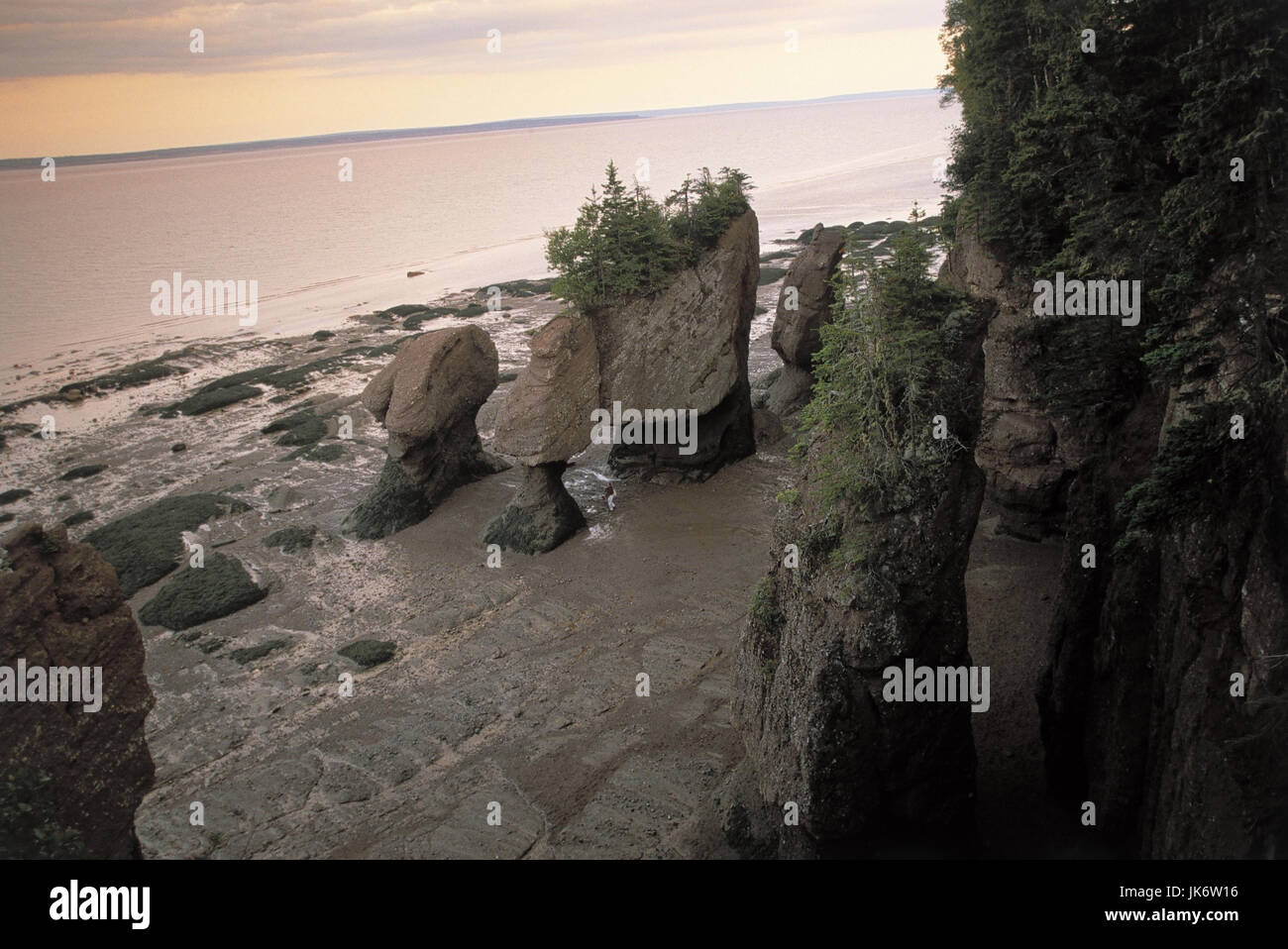 Canada, New Brunswick, Hopewell Cape, Bay Of Fundy, Hopewell Rocks Südost-Kanada, Nouveau-Brunswick, Neubraunschweig, Felsküste, bereitzuhalten, Felsen, Felsformationen, 'Blumentopf Rocks', Natur, Brandungserosionen, Sehenswürdigkeit, außen Stockfoto