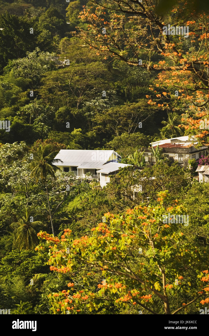 Boca, Regenwald, Wohnhäuser Karibik, Westindische Inseln, Grenada, Kleine Antillen, Inseln Über Dem Winde, Insel, Vegetation, Tropisch, Wald, Häuser, Gebäude, Natur, Ruhe, Stille, Abgelegen, Abgeschiedenheit, Einsamkeit, Idylle "Grüne Lunge" Stockfoto