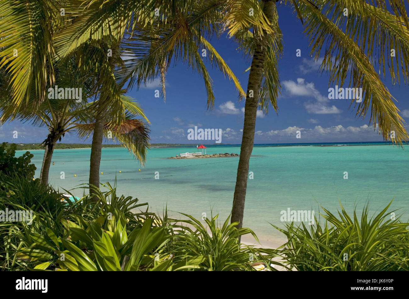 Guadeloupe, Palmenstrand, Kreation, Trauminsel Stockfoto