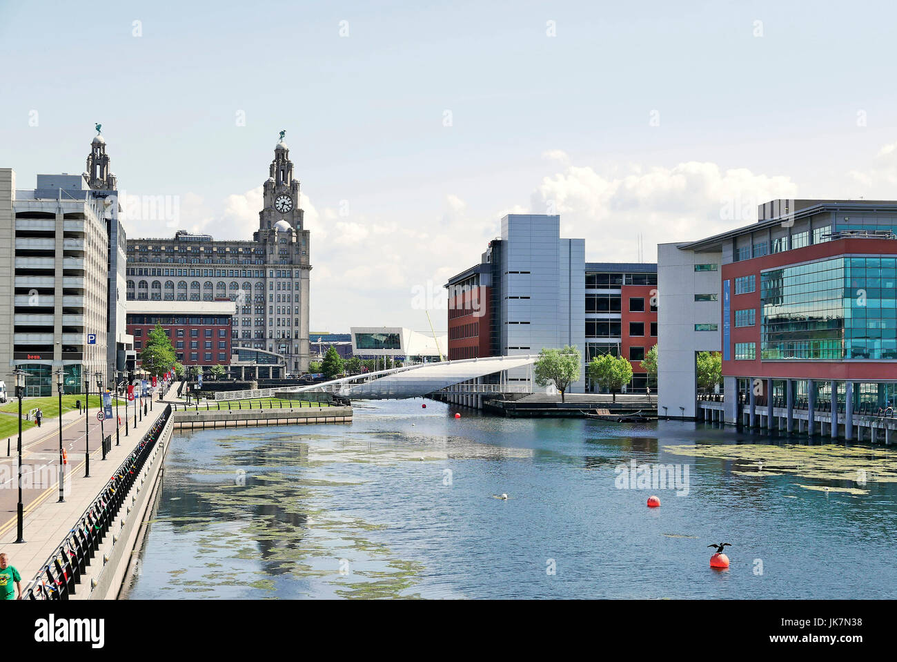 Die Leber, die aufbauend auf Liverpool am Wasser, umgeben von modernen Gebäuden auf William Jessop Weg und Princes Dock Stockfoto