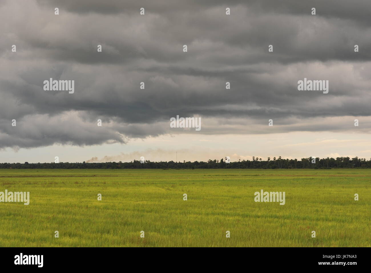 Gewitterwolken über Reisfeldern während der Monsunzeit in Kampong Cham Provinz, Kambodscha. Kredit: Kraig Lieb Stockfoto