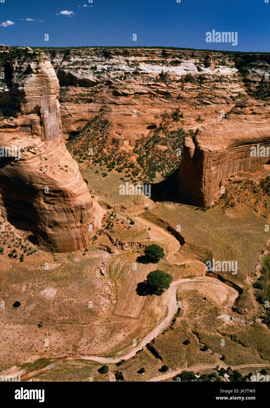 Ansicht E von Mummy Cave bieten einen Blick in den Canyon del Muerto (Schlucht der Toten), Canyon de Chelly National Monument, Arizona: Navajo Feld gepflanzt. Stockfoto