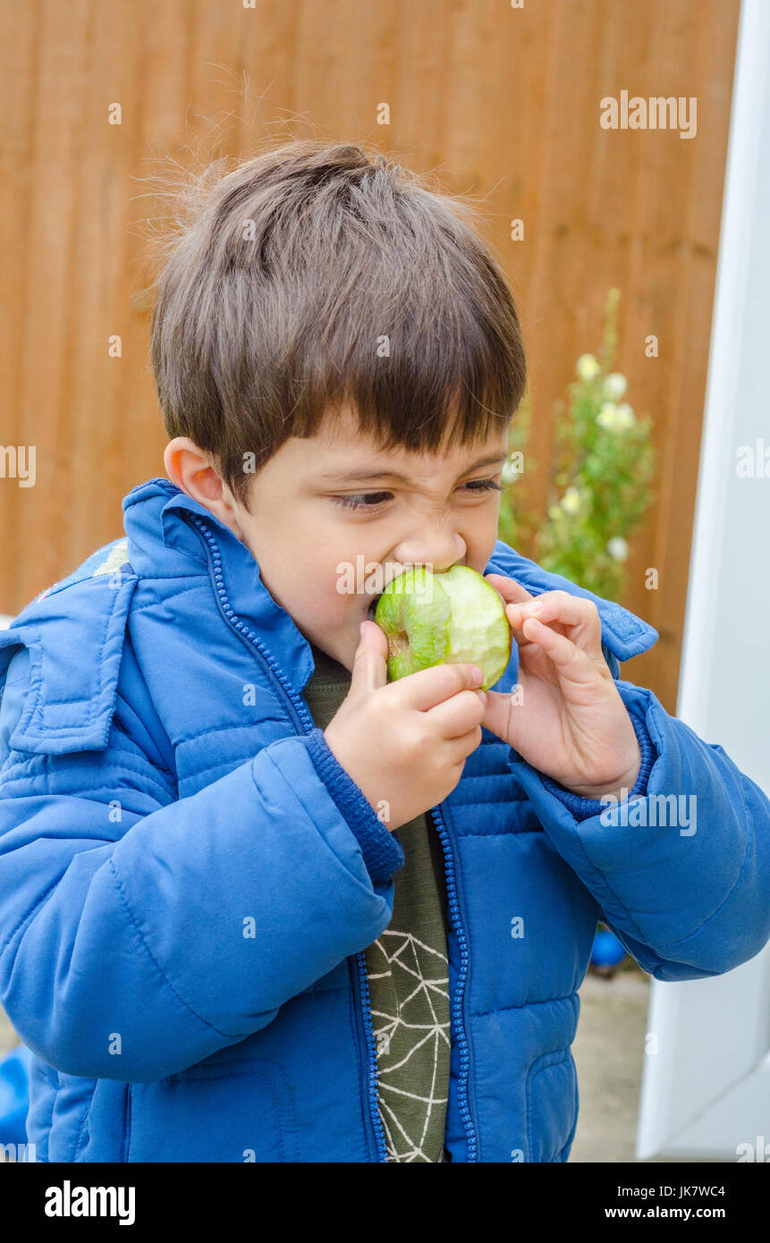 Ein Junge, einen einheimischer Apfel essen im Garten hinter dem Haus. Stockfoto