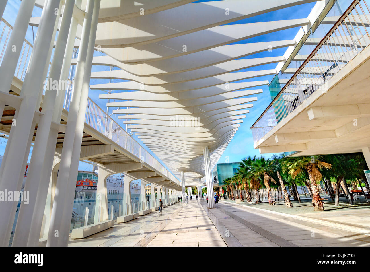 Palmeral de las sorpresas, Malaga, Andalusien, Spanien Stockfoto