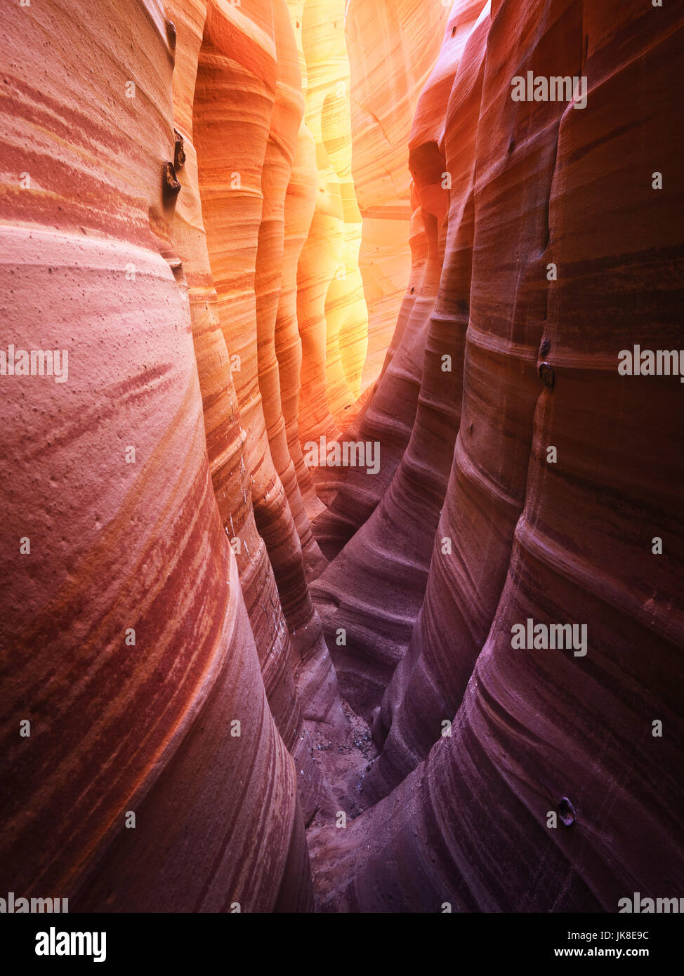 Zebra Slot Canyon, Staircase-Escalante NM, Utah Stockfoto