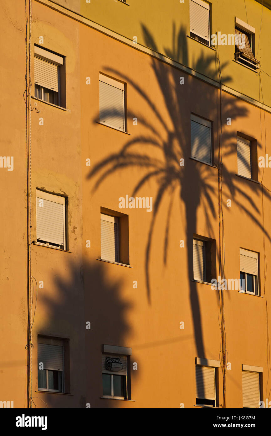 Spanien, Andalusien, Cadiz Provinz Cadiz, Campo del Sur, Palmen Schatten auf Gebäude, Sonnenuntergang Stockfoto