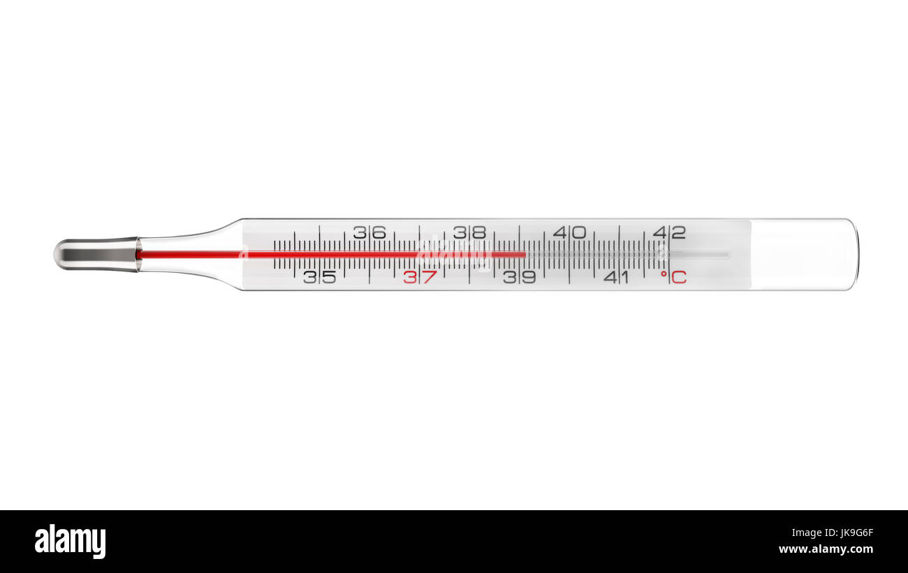 Medizinische Thermometer Fieber isoliert auf weißem Hintergrund 3D-Rendering Stockfoto