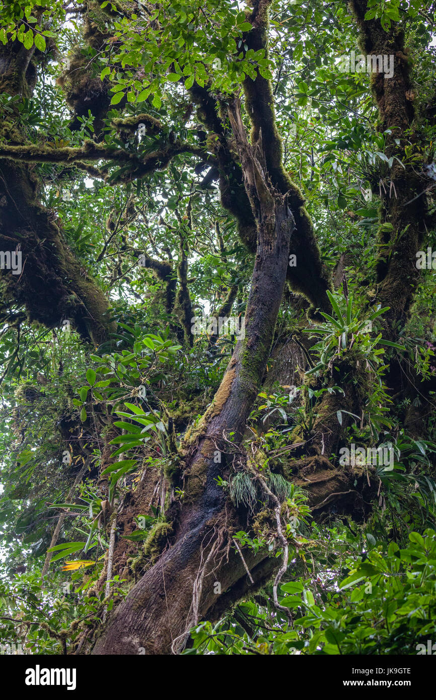 Costa Rica. Stockfoto