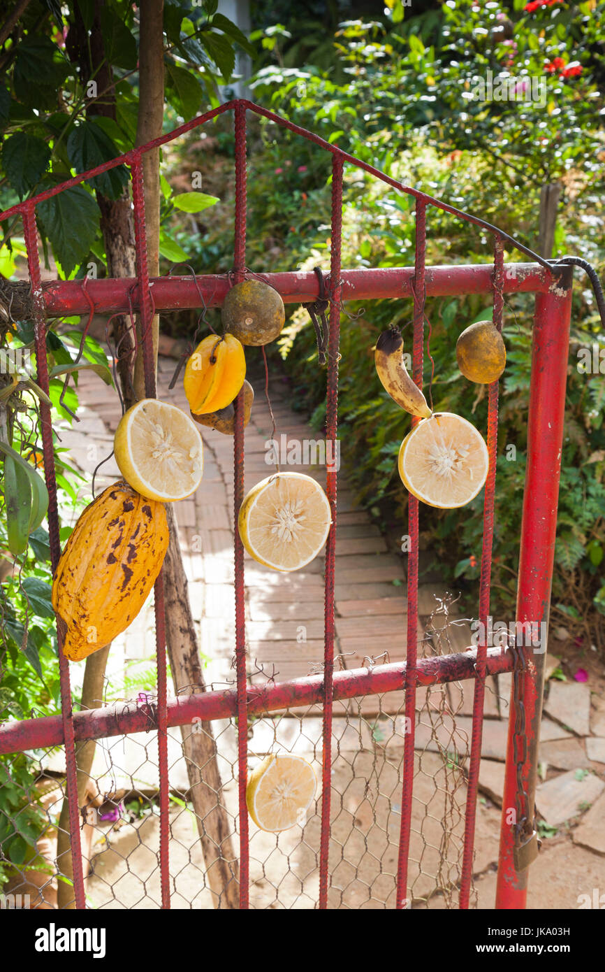 Kuba, Provinz Pinar Del Rio, Vinales, Vinales Tal, El Jardin de Caridad, Tore, tropischen Garten Stockfoto