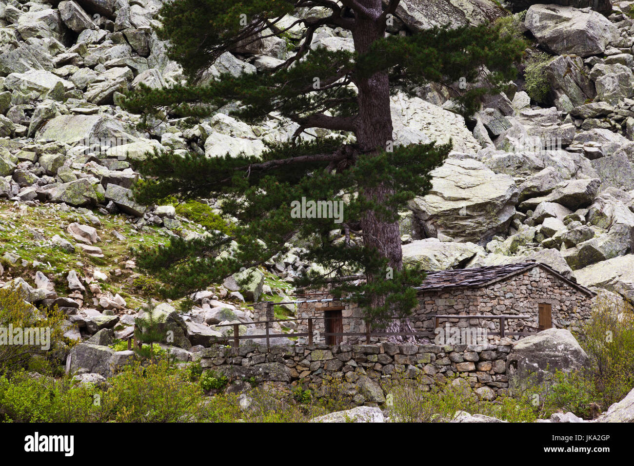 Frankreich, Korsika, Haute-Corse Abteilung, zentralen Bergregion, Corte-Bereich, Gorges De La Restonica, Schafe Hirten Hütte Stockfoto