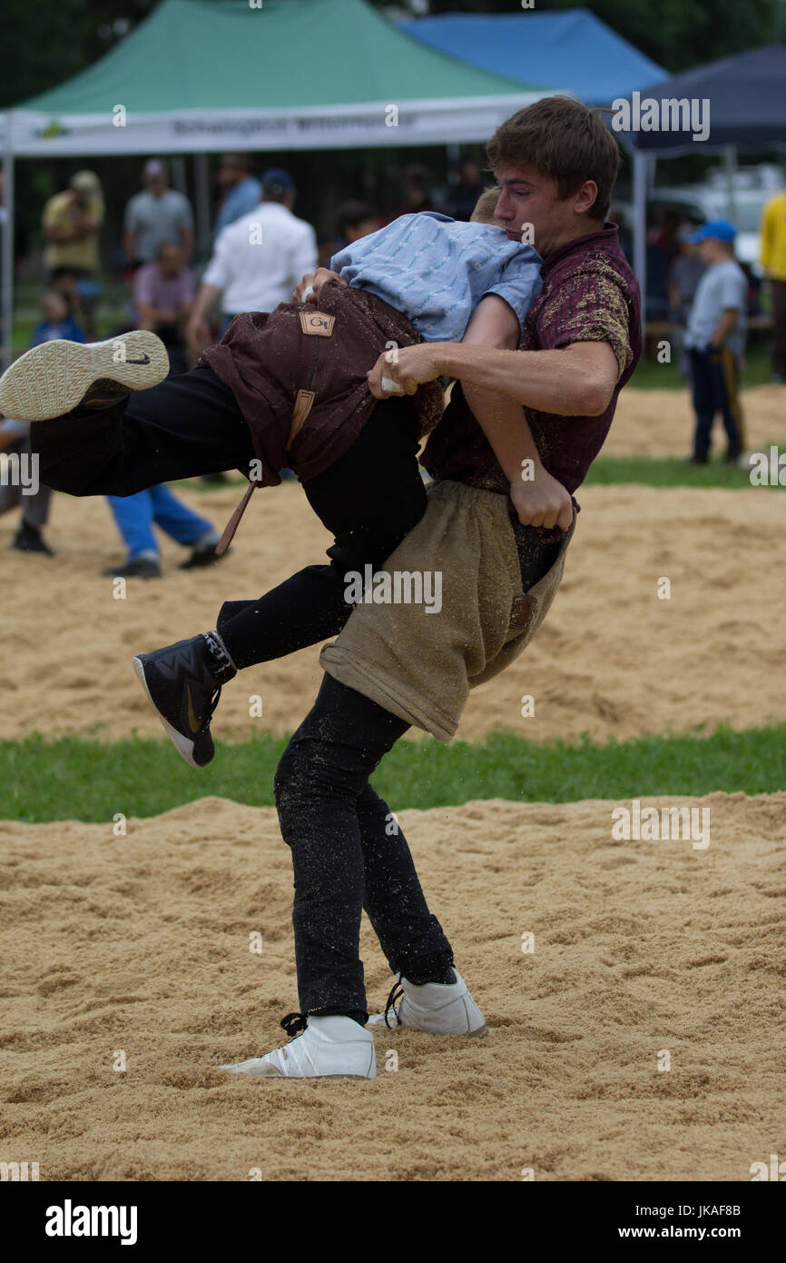 Schwing Festival Schwingfest Stockfoto