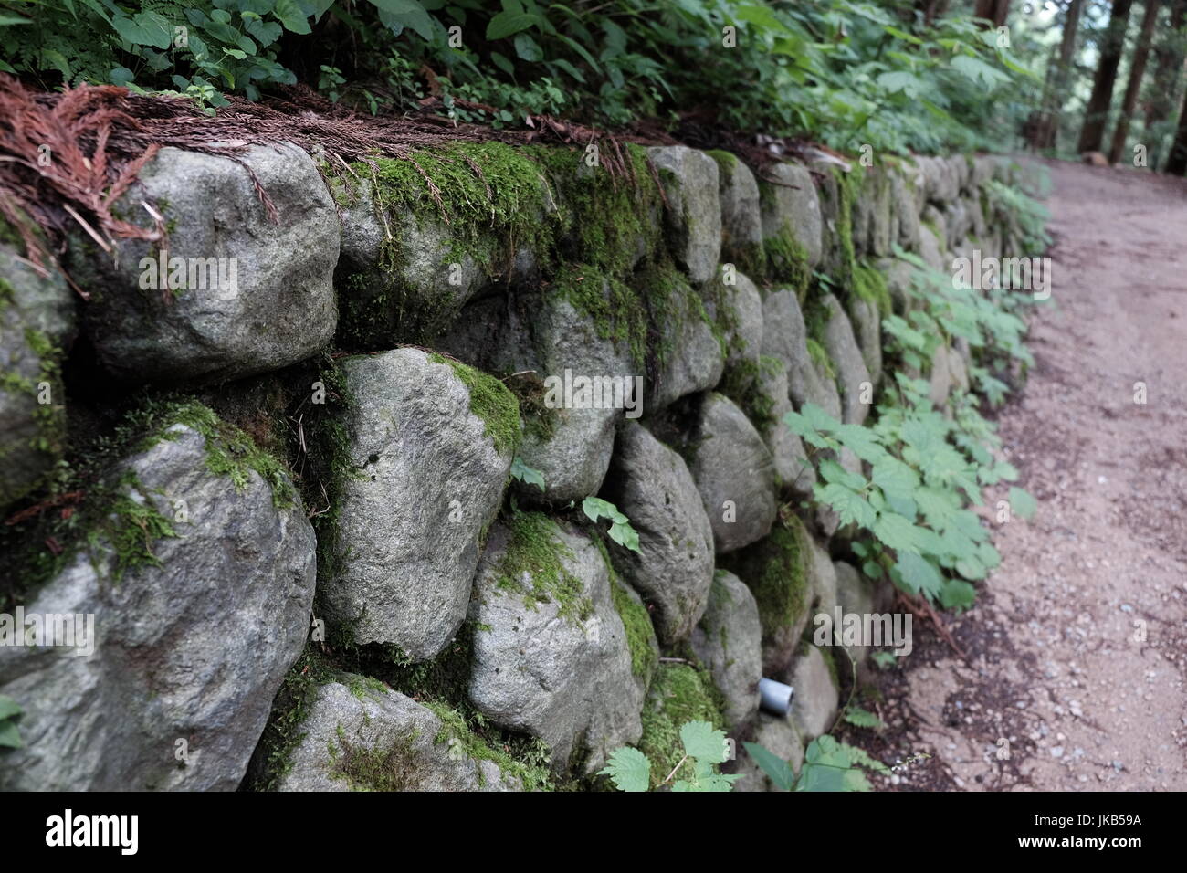 Eine steinerne Stützmauer in einem Wald Stockfoto