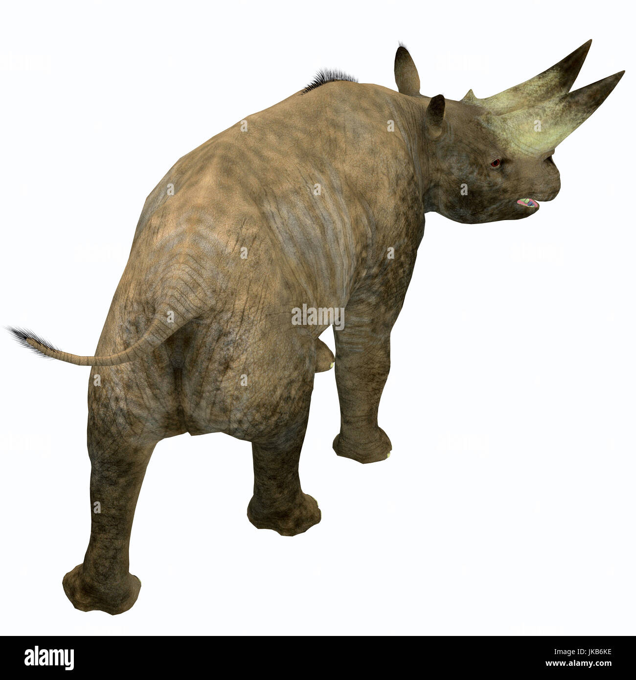 These war ein Pflanzenfresser Nashorn-ähnliches Säugetier, das im frühen Oligozän in Afrika gelebt. Stockfoto