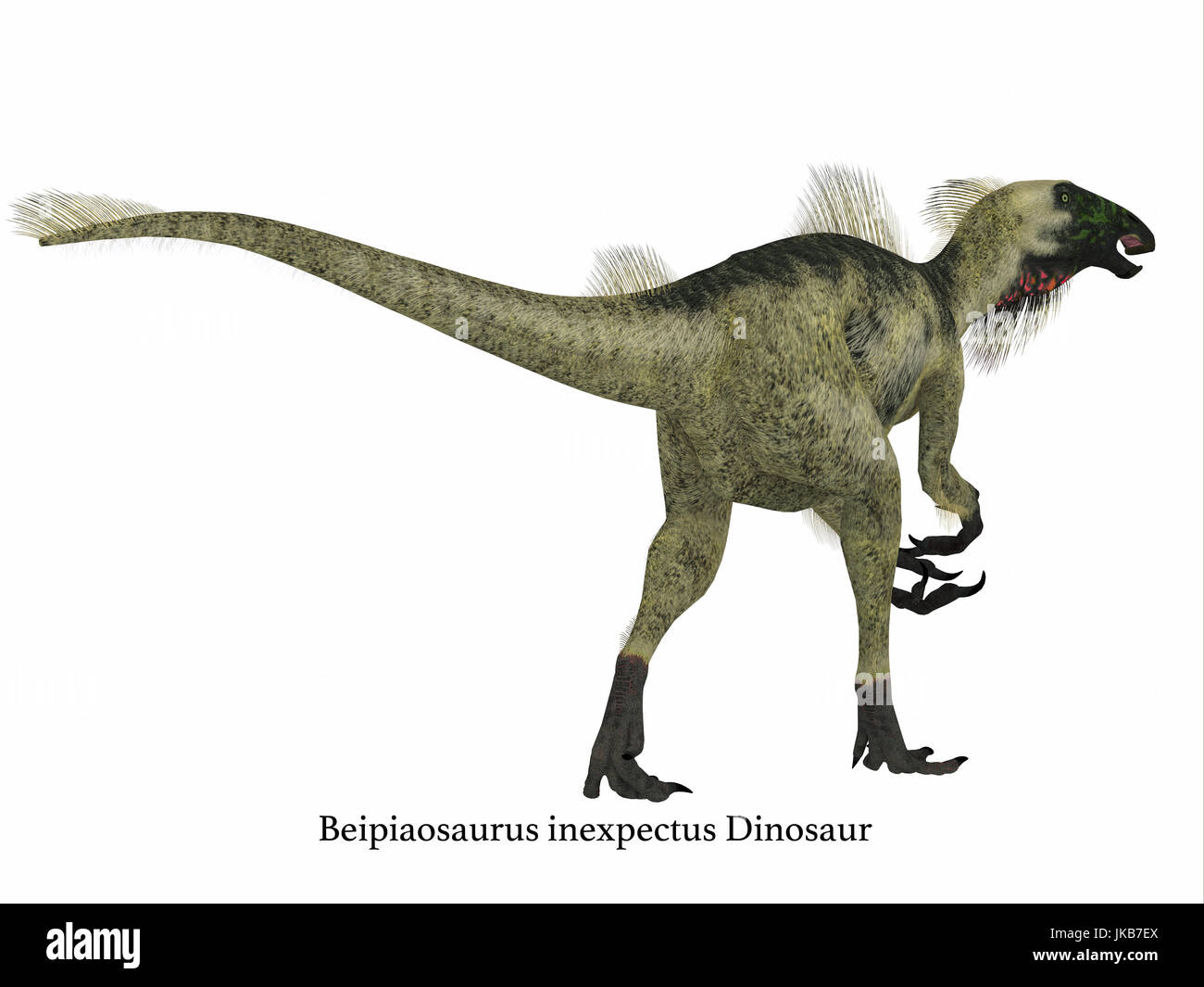 Beipiaosaurus war ein Pflanzenfresser theropode Dinosaurier, der in China in der Kreidezeit lebte. Stockfoto