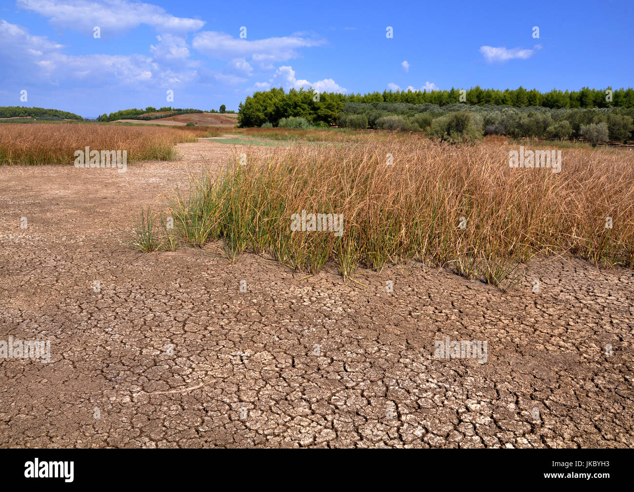 Trockene Erde Hintergrundtextur Stockfoto