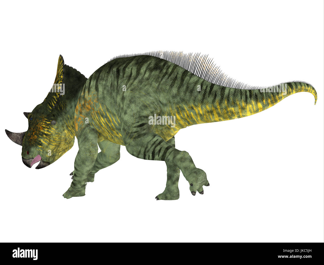 Brachyceratops montanensis Fotos und Bildmaterial in hoher Auflösung