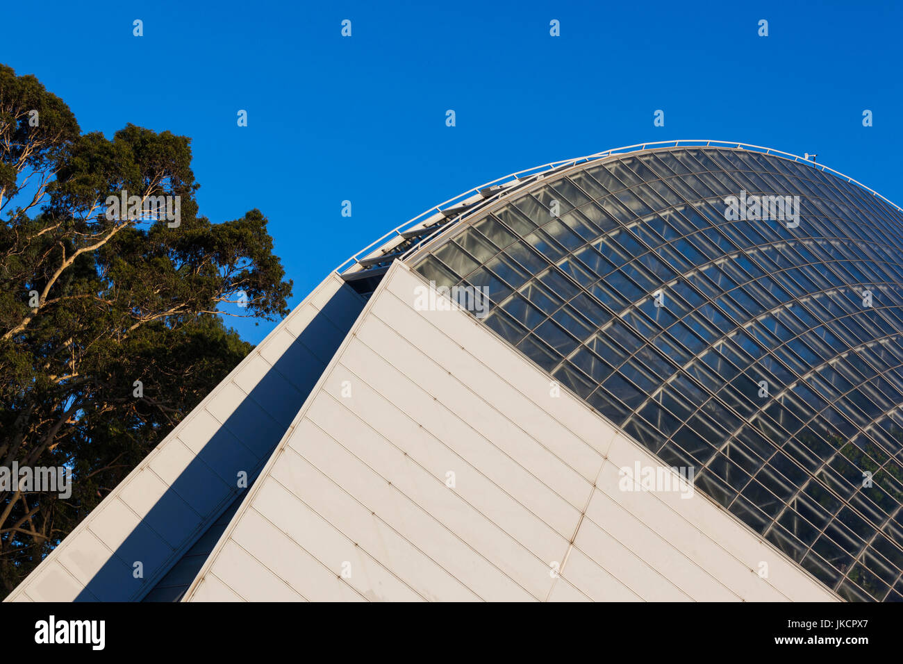 Australien, South Australia, Adelaide, Adelaide Botanic Garden, Bicentenial Wintergarten, tropischen Regenwald Gewächshaus Stockfoto