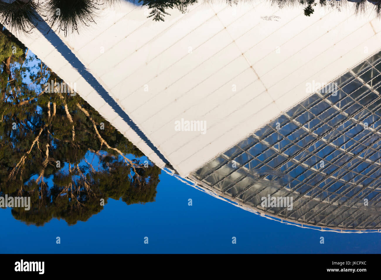 Australien, South Australia, Adelaide, Adelaide Botanic Garden, Bicentenial Wintergarten, tropischen Regenwald Gewächshaus, Teich Reflexion Stockfoto