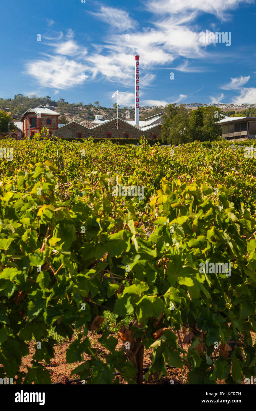 Australien, South Australia, Adelaide-McGill, Penfolds Magil Estate Winery und Weinbergen, älteste Weingut in Südaustralien, Weingut Gebäude, außen Stockfoto