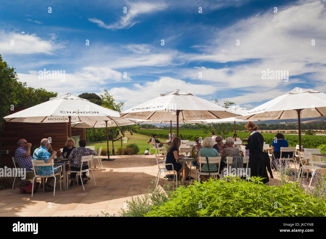 Australien, Victoria, VIC, Yarra Valley, Coldstream, Weingut Domaine Chandon, Bar im freien Stockfoto