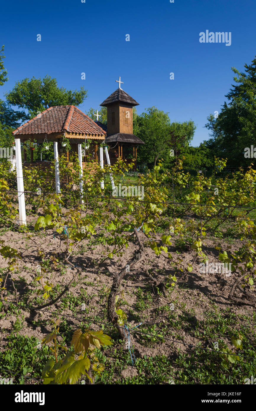 Rumänien, Bukarest-Bereich Snagov, Kloster Snagov, letzte Ruhestätte von Vlad Tepes, Vlad der Pfähler, Weinberg Stockfoto