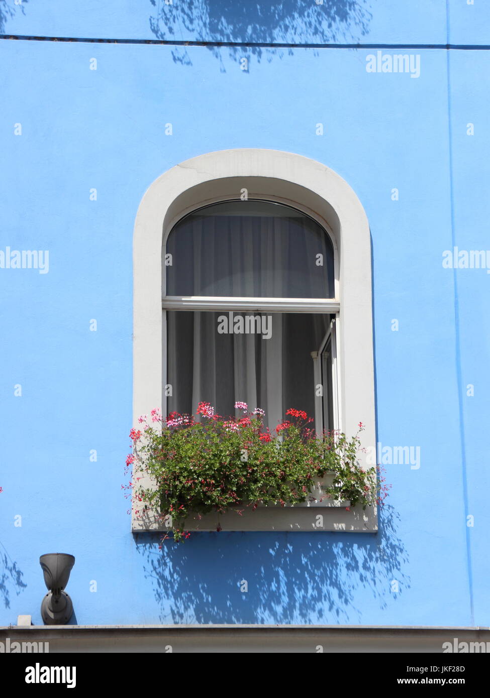 Blumen im karton Fotos und Bildmaterial in hoher Auflösung Alamy