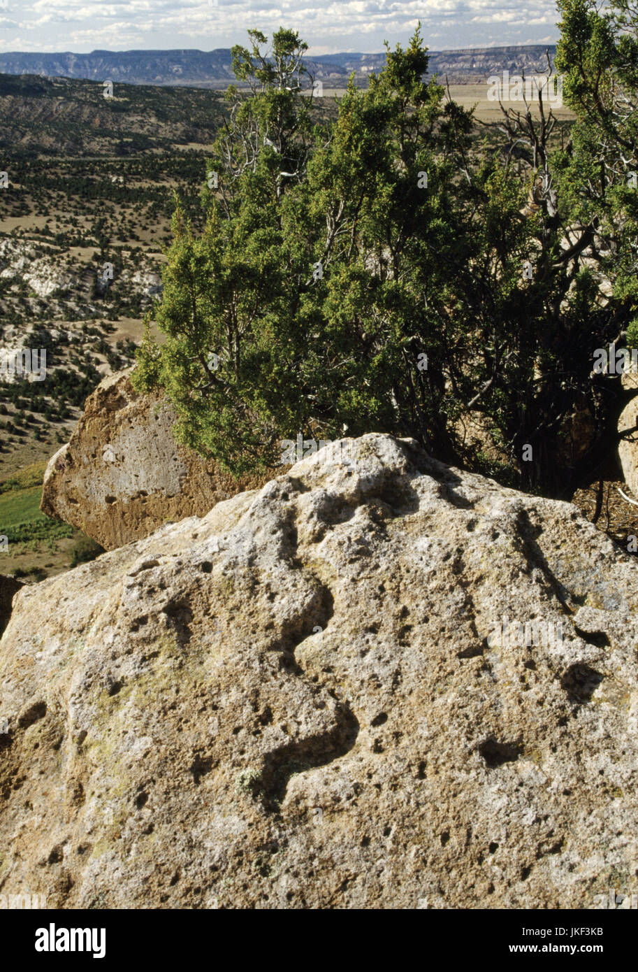 Petroglyphen/Felszeichnungen bei Tsi Ping ruiniert Pueblo, MGH, Abiquiu, Rio Arriba County, New Mexico, USA. Schlange oder Wasser Symbole pickte in den Tuff-Felsen Stockfoto