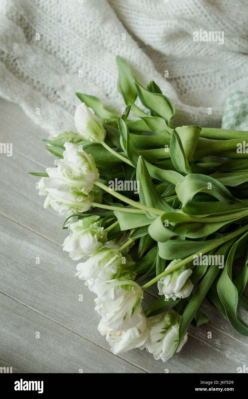 Tulpen, Tulpen, Frühling, Frühblüher, weiss Stockfoto