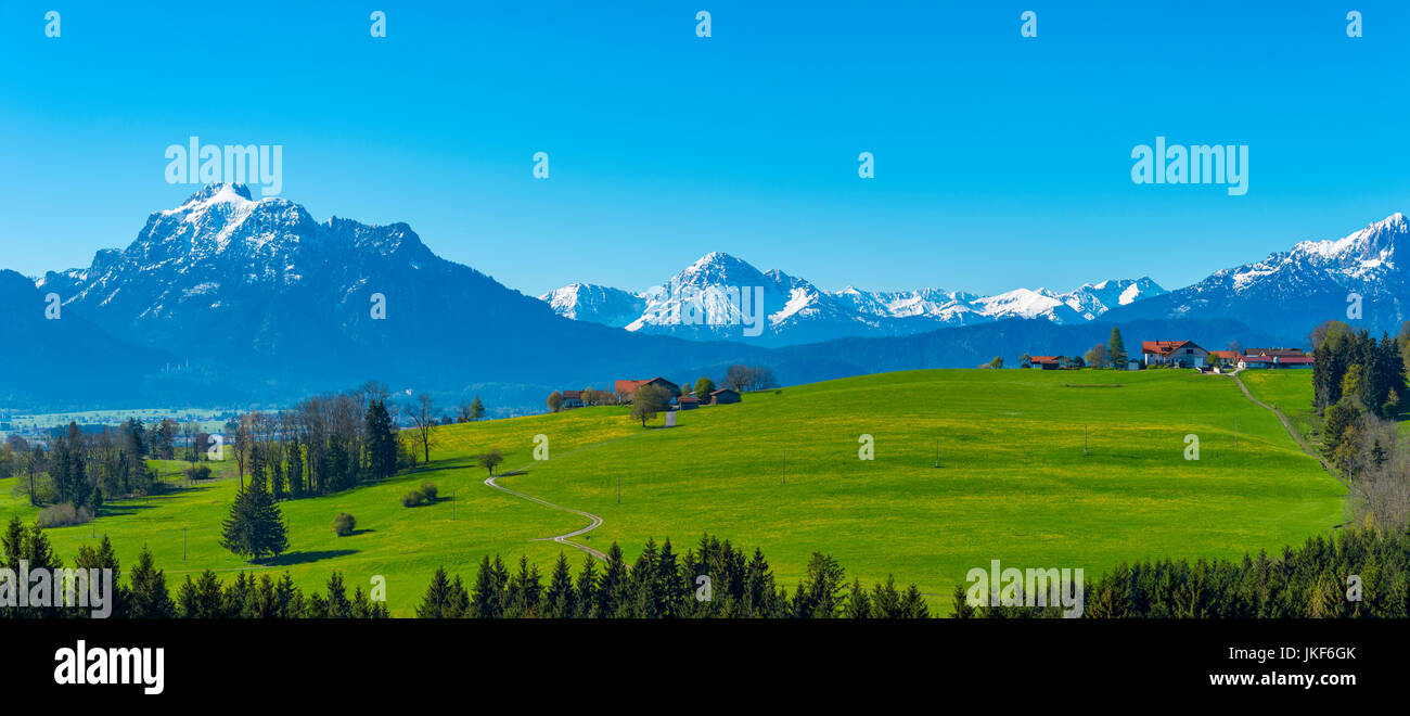 Alpenvorland Bei Rosshaupten, Dahinter Neuschwanstein Und der Saeuling, 2047 m, Ostallgaeu, Bayern, Deutschland, Europa Stockfoto