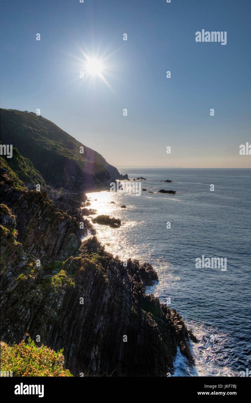 Steilküste Nahe Polperro, Cornwall, England, Großbritannien Stockfoto