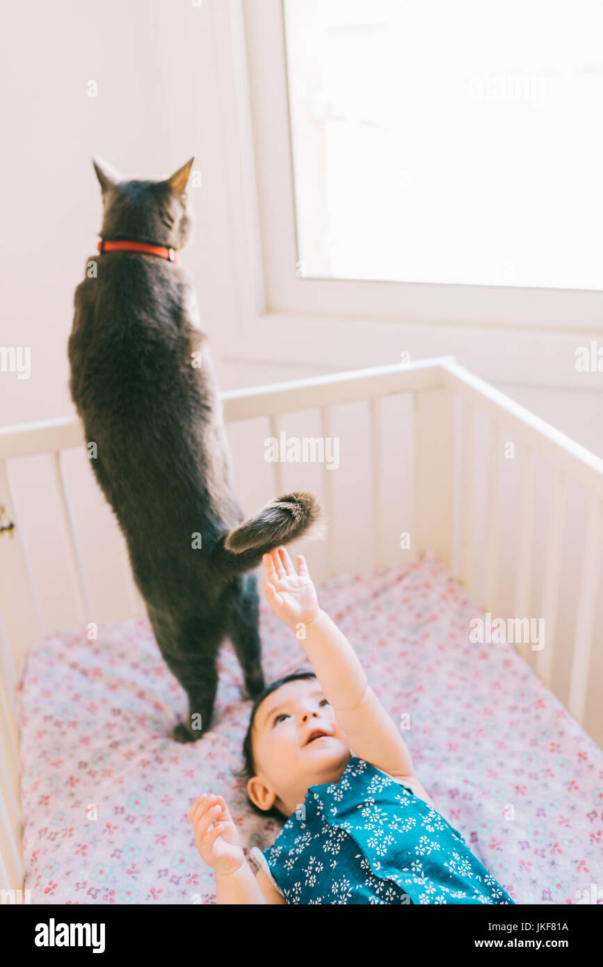 Baby Mädchen liegt in der Krippe, die versuchen, den Schwanz einer Katze zu erreichen. Stockfoto