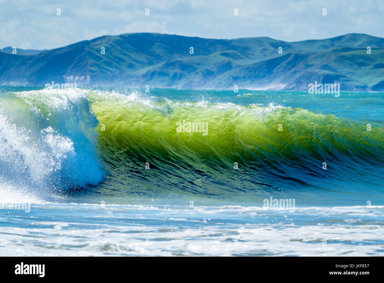 Neuseeland, Nordinsel, Raglan, ngarunui Strand, manu Bay, brechenden Welle Stockfoto
