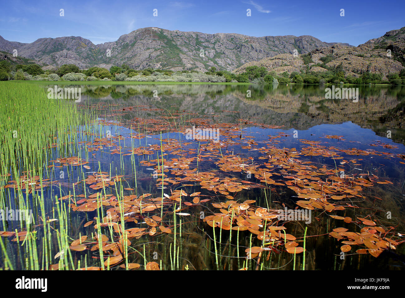 Lago de Sanabria Nature Reserve, Provinz Zamora, Kastilien-León, Spanien Stockfoto