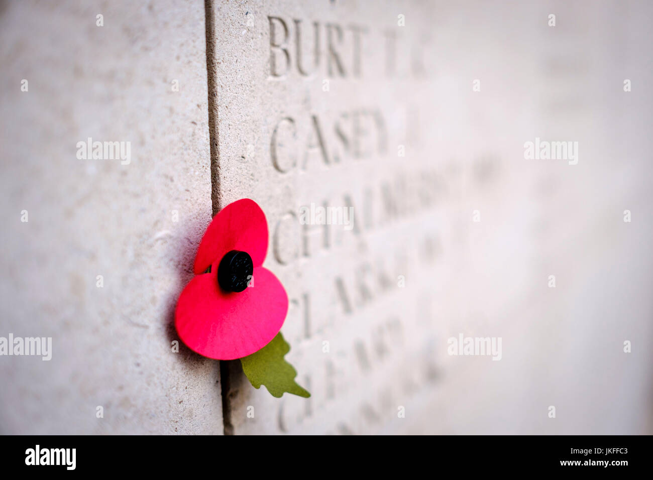 Ypern, Belgien 23. Juli 2017:: ein einsamer Mohn an der Wand des Tores Menen, Ypern, Belgien. Stockfoto