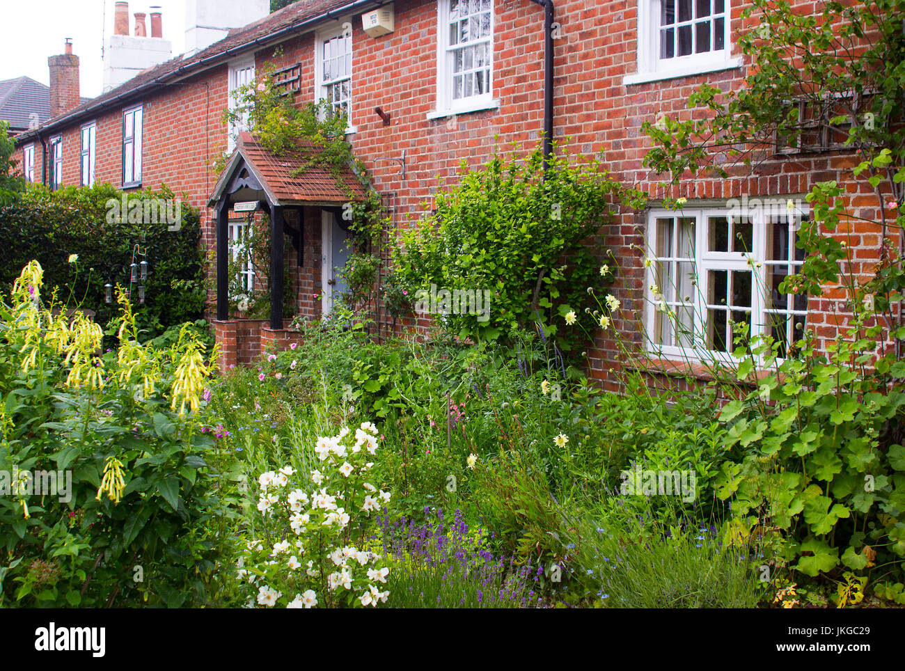 Ein Englisch-Cottage-Garten in Warsash in Hampshire zeigt einen Aufstand der chaotischen Farbe im Frühsommer Stockfoto