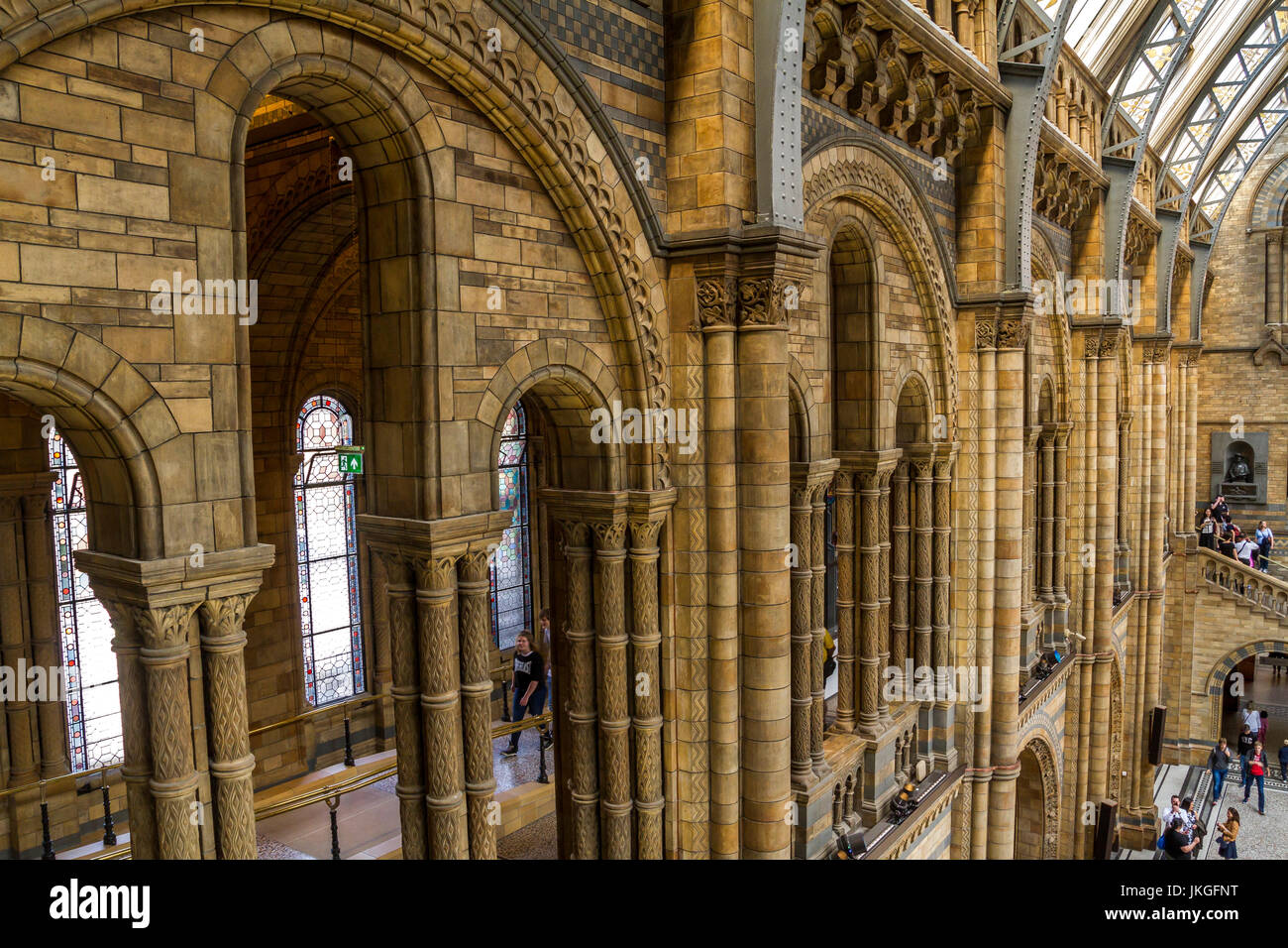 Die herrliche Hintze Hall im Natural History Museum, London, Großbritannien Stockfoto