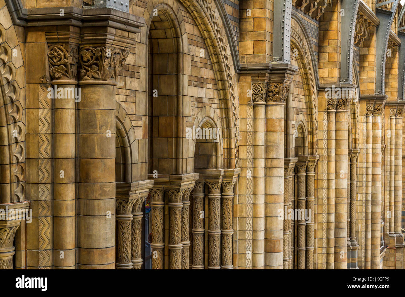 Die herrliche Hintze Hall im Natural History Museum, London, Großbritannien Stockfoto