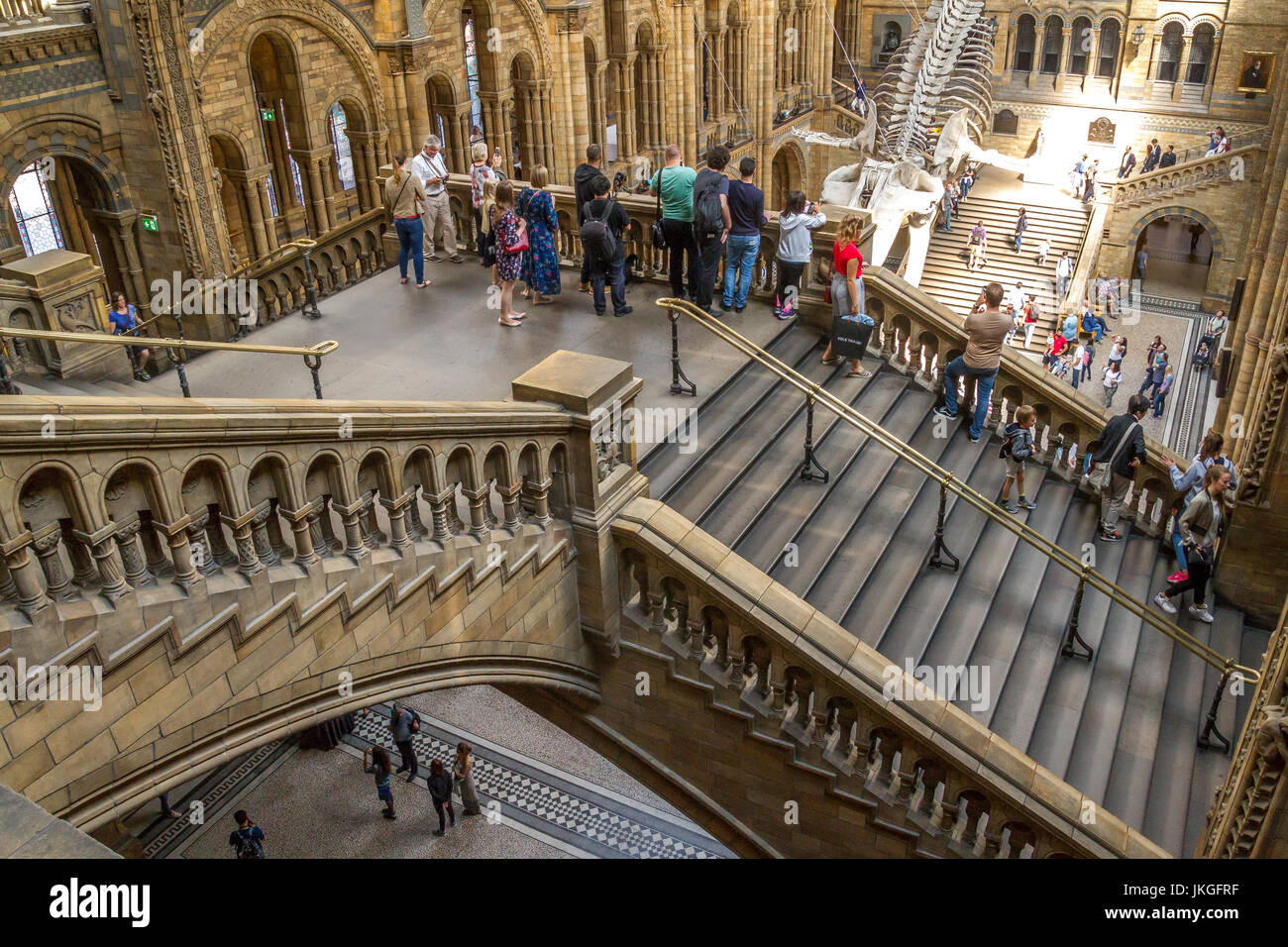 Menschen, die das Skelett des Blauwals im Natural History Museum, London, Großbritannien, betrachten Stockfoto