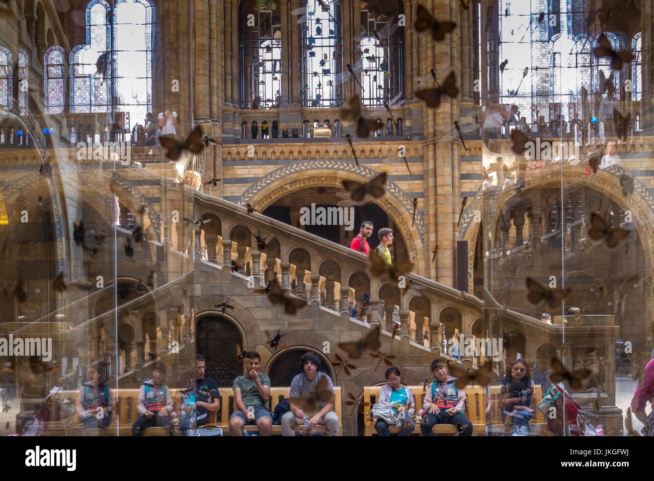 Die großartige Hintze Hall im Natural History Museum, London, Großbritannien Stockfoto