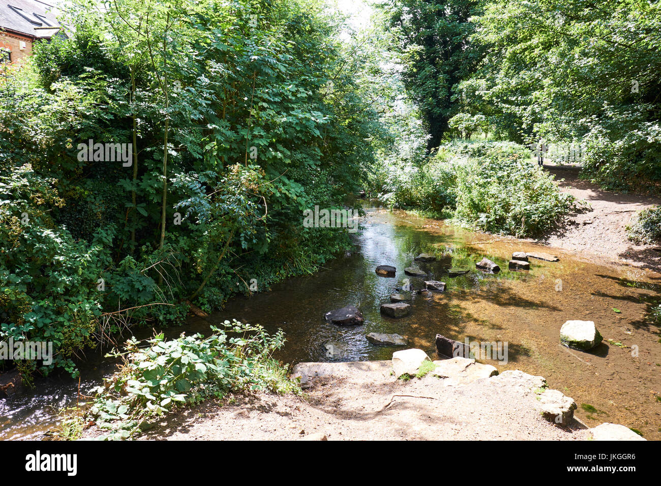 Fluss Ver innerhalb von Verulamium Park, St Albans, Hertfordshire, UK Stockfoto