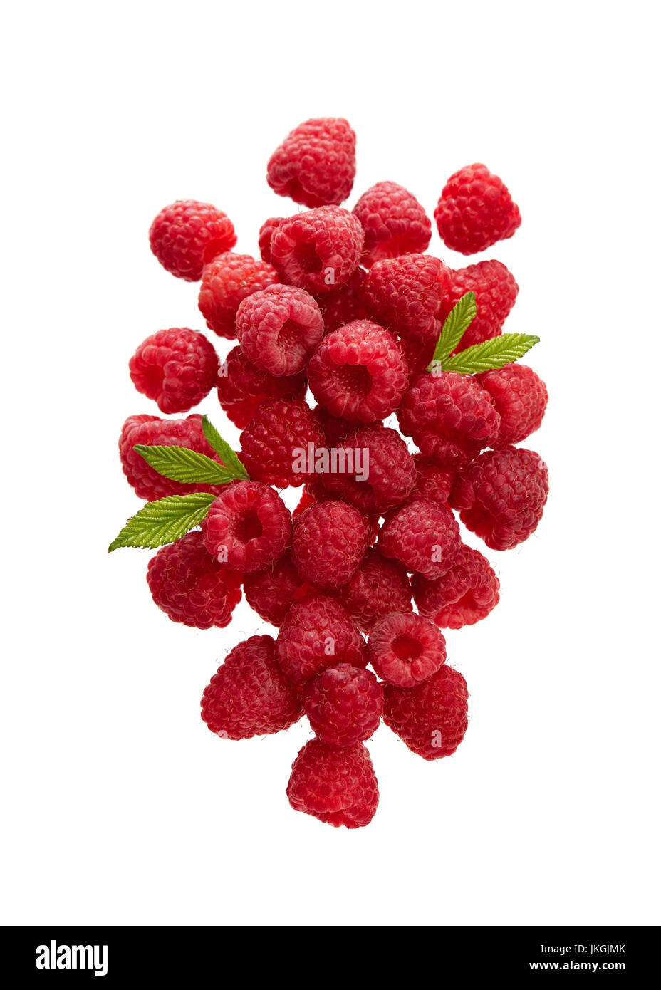 Frische Himbeeren mit Blättern auf weißem Hintergrund. Stockfoto